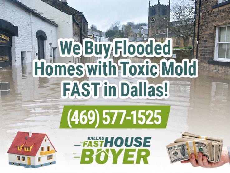 dallas water damage and mold